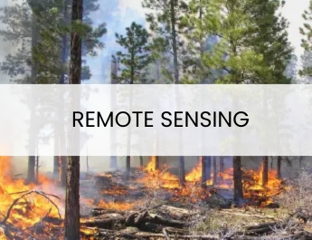 A wildfire burning